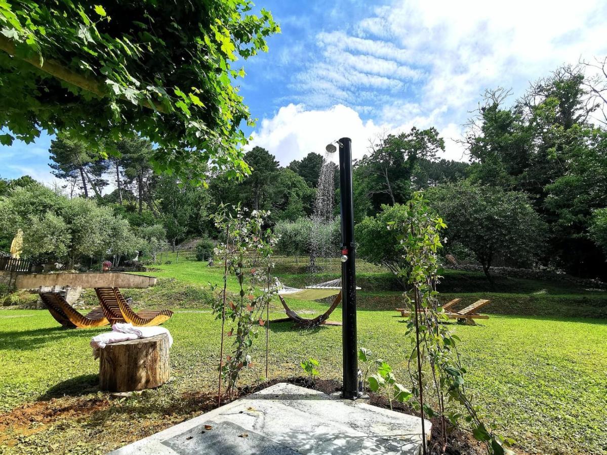 A14 Pietrasanta La Dama Del Bosco住宿加早餐旅馆 外观 照片