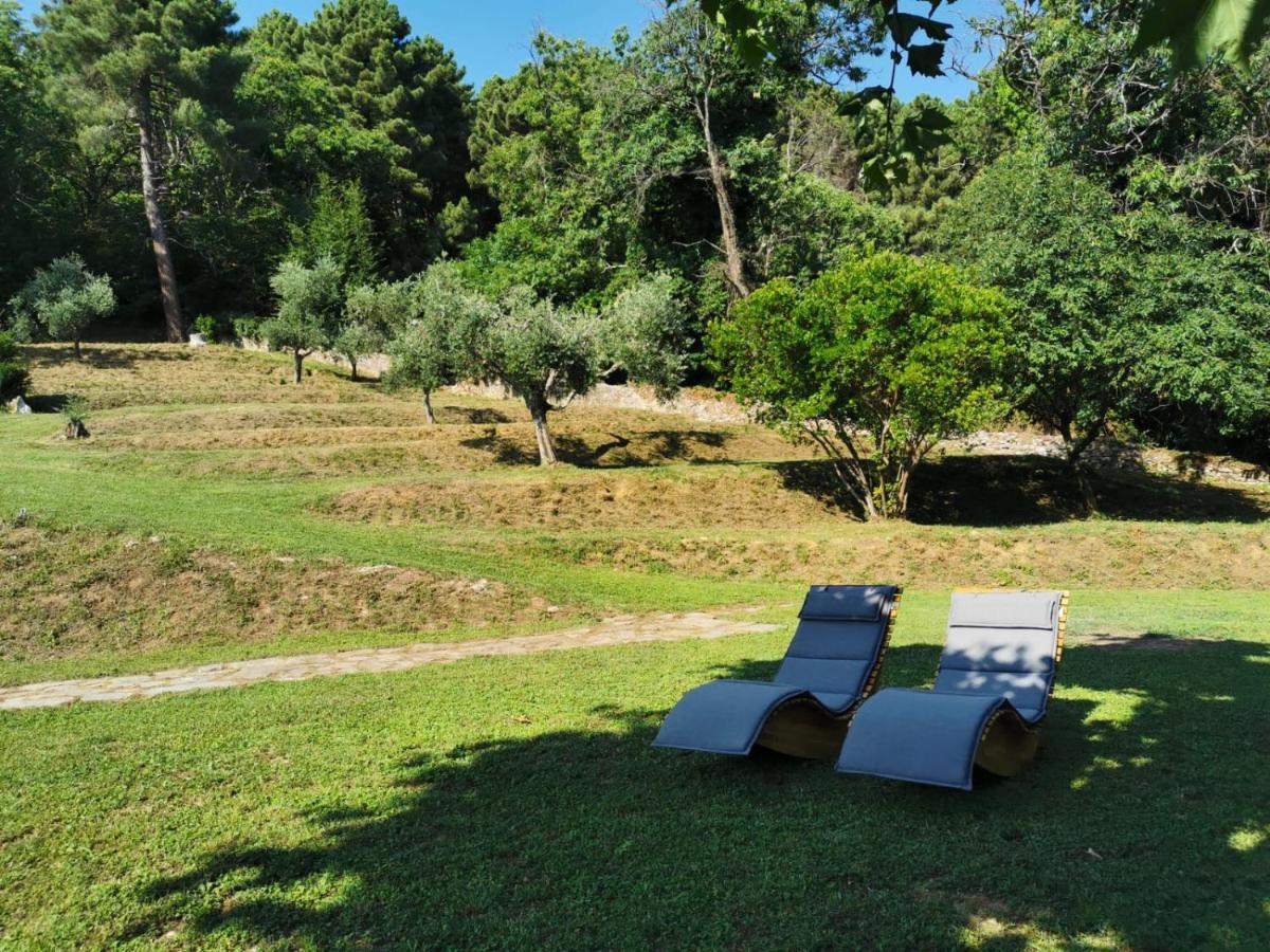 A14 Pietrasanta La Dama Del Bosco住宿加早餐旅馆 外观 照片