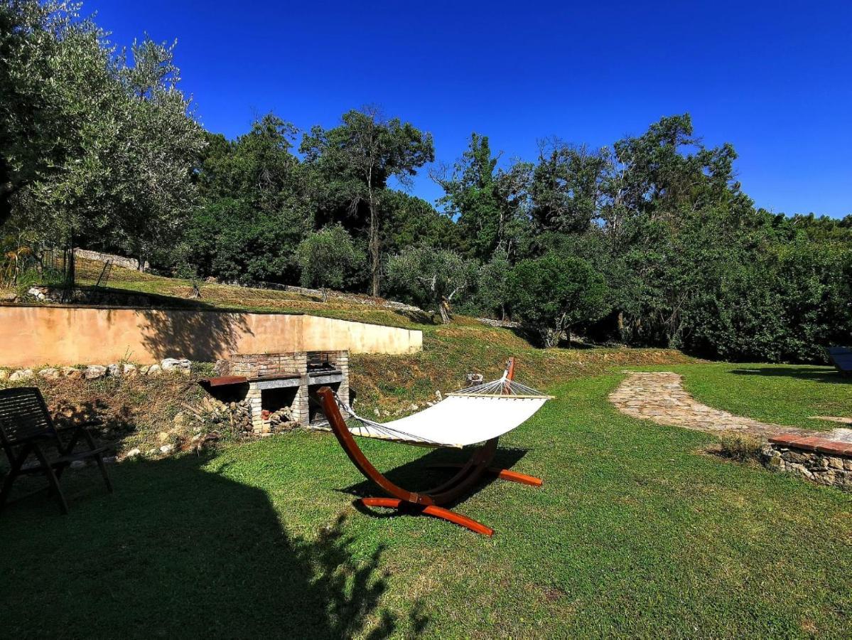 A14 Pietrasanta La Dama Del Bosco住宿加早餐旅馆 外观 照片
