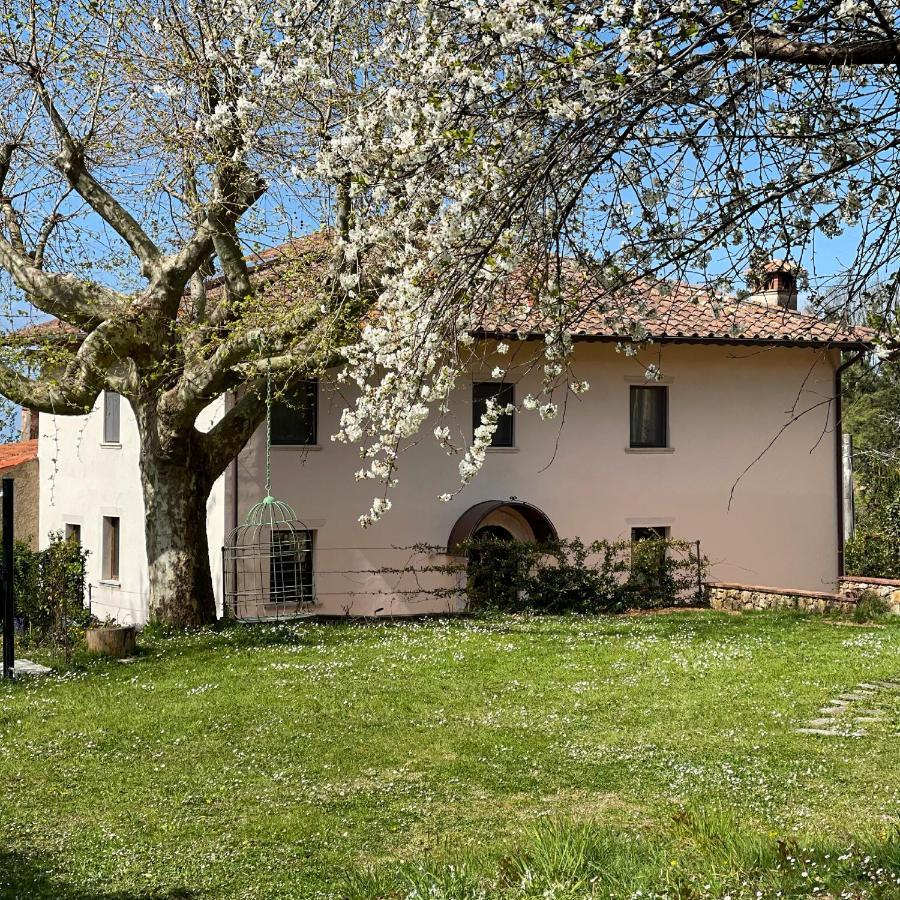 A14 Pietrasanta La Dama Del Bosco住宿加早餐旅馆 外观 照片
